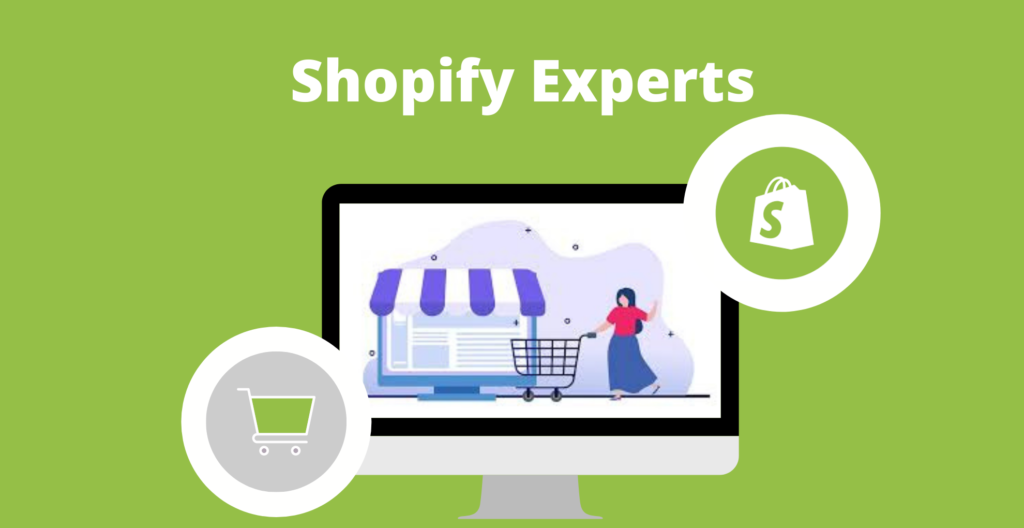 Hire a Shopify Professional